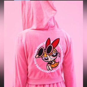 RARE SOLD OUT Dolls Kill x Powerpuff Girls Blossom Velour Hoodie Pink Y2K
L